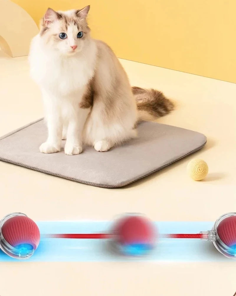 Cat Interactive Ball Toys Automatic Rolling Ball For Kitten Rechargeable Smart Pet Electric Toys With Teaser Sensor Cat Ball Toy